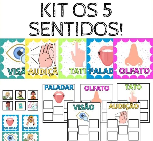 Desperte os sentidos dos seus alunos com o incrível Kit dos 5 Sentidos! 🧠👀👃👅👂