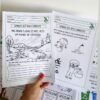 Semana do Meio Ambiente: Sequência de atividades. - Image 5